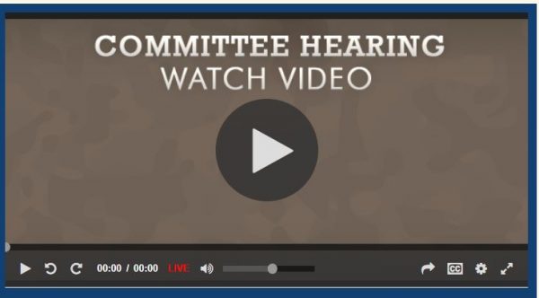 Committee Hearing Video 委员会听证视频
