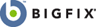 BigFix公司标志